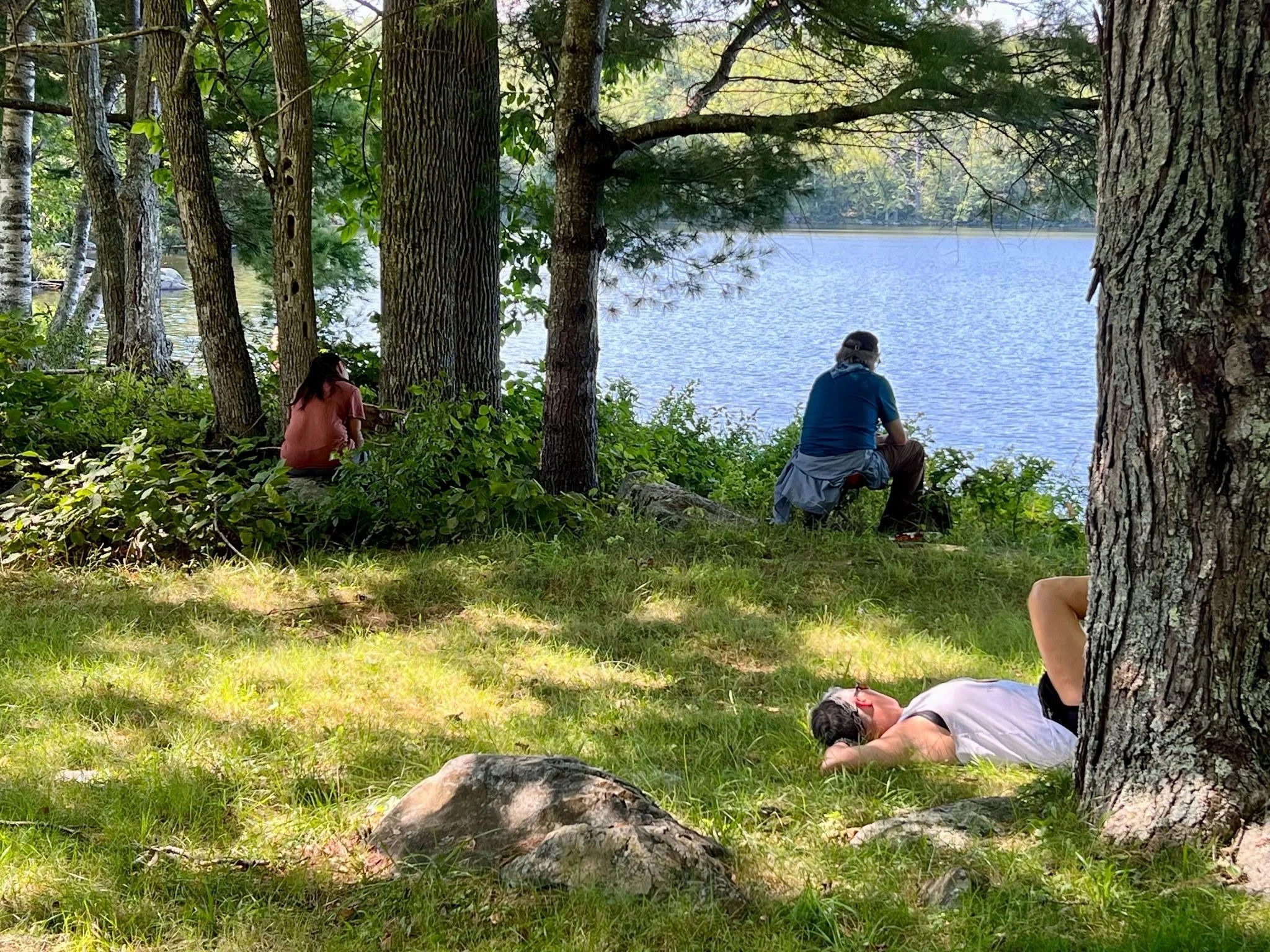 Forest bathing benefits.