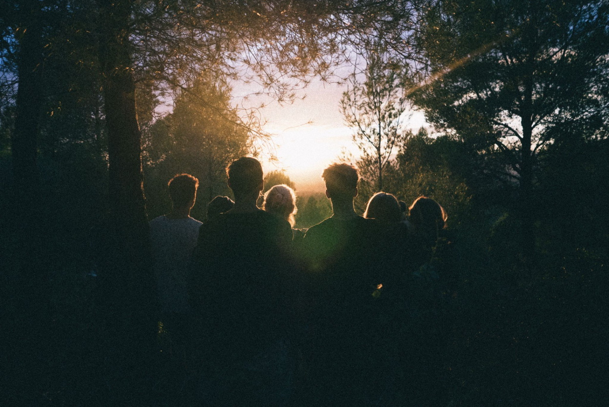 Forest therapy.