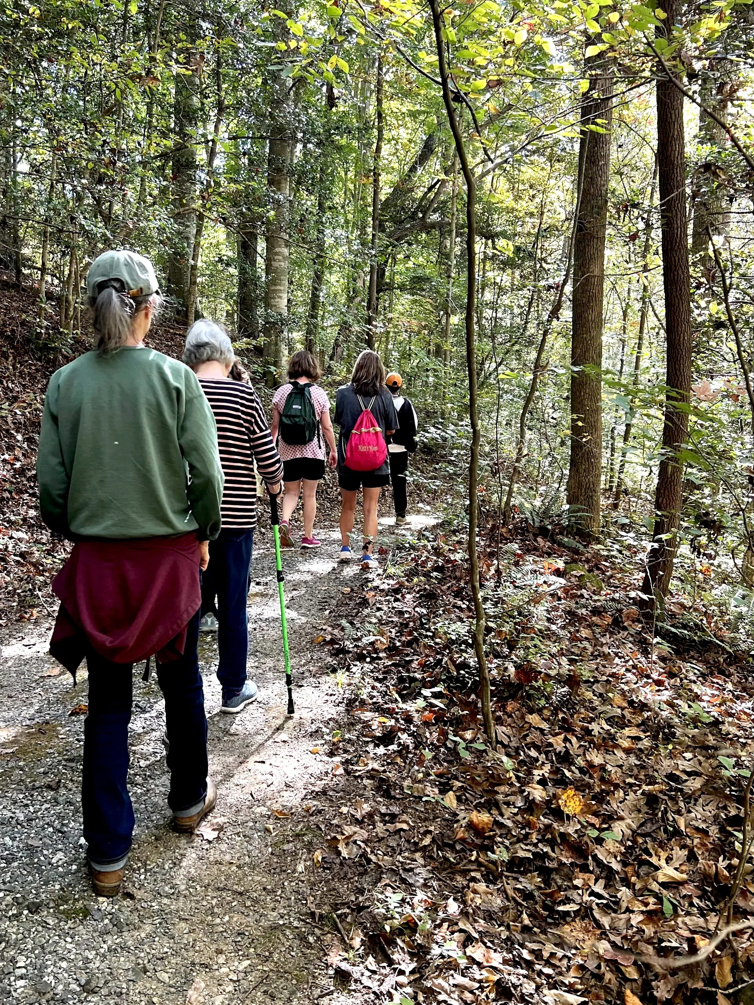 Group of people in a forest therapy guide training program