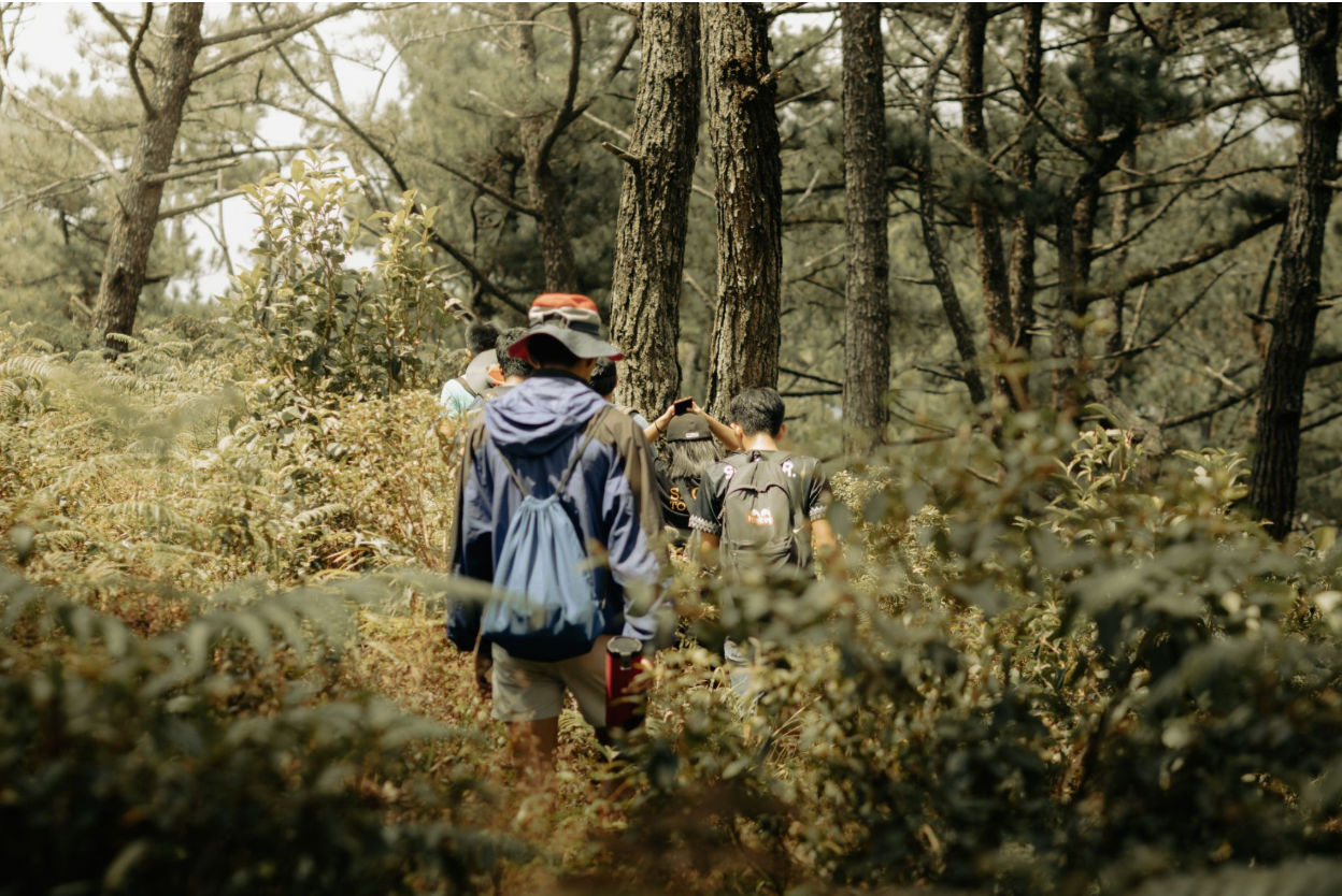 Forest therapy guide leading a nature-based experience.