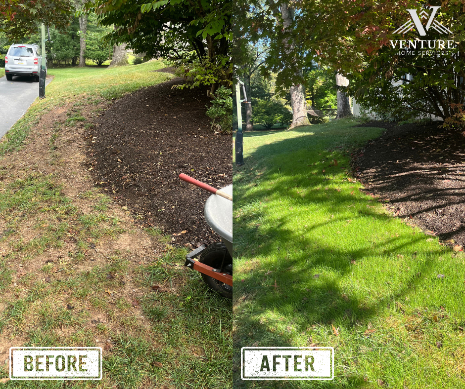 VHS Pictures (2).png