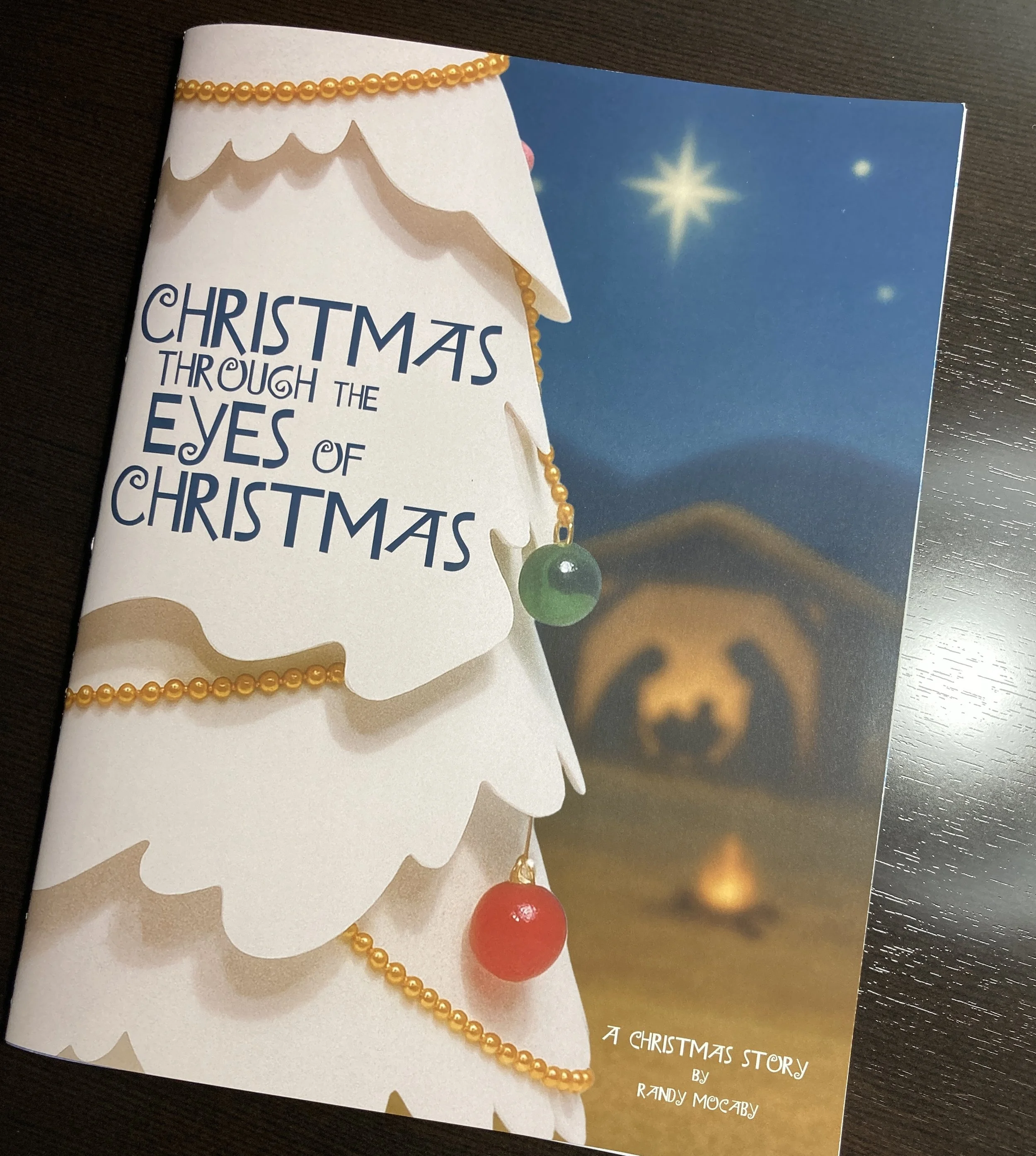 Christmas Through the Eyes of Christmas - Hardcopy Story Book