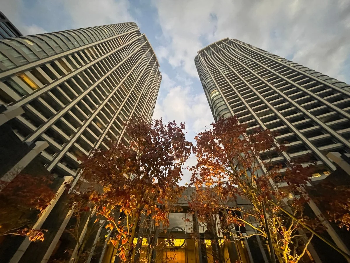 高層ビルと紅葉した木々を見上げる風景