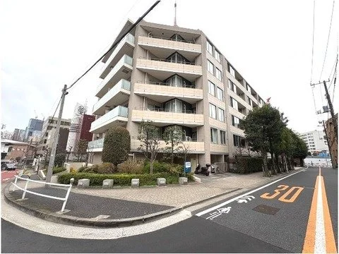 多層マンションと道路、街路樹と歩道
