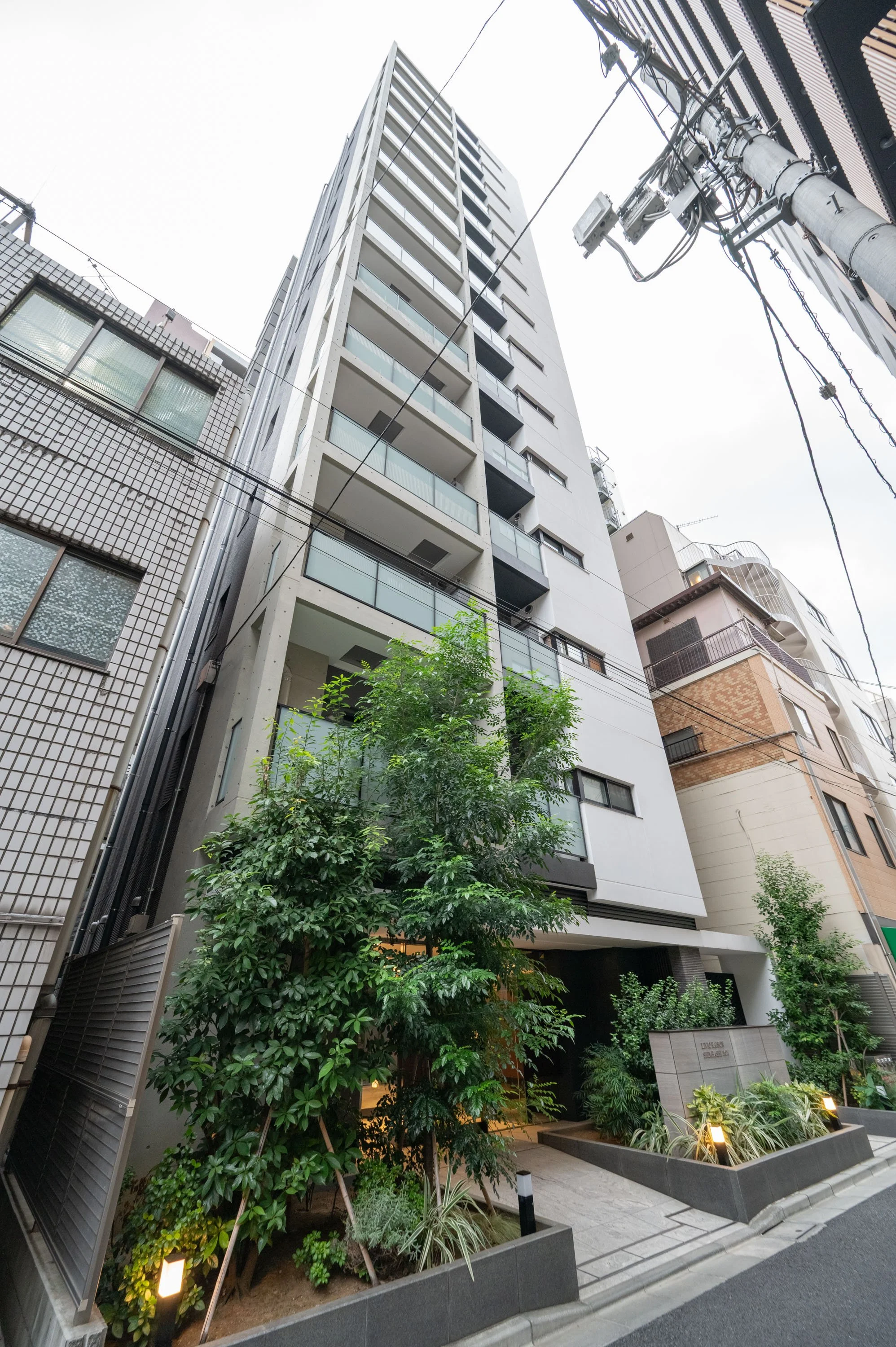 高層ビルの前の緑豊かな植栽と歩道。