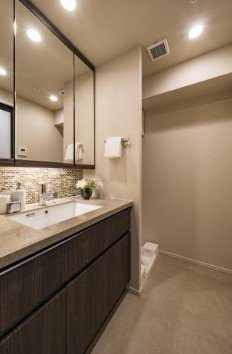 洗面台と鏡、トイレットペーパーと小さな植物が置かれたバスルームの洗面台エリア