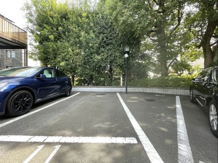 空の駐車場スペースと2台の車、背景に木と建物が見える