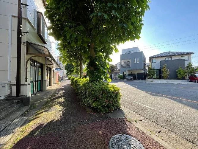 街の道路と建物、葉の多い木とその影