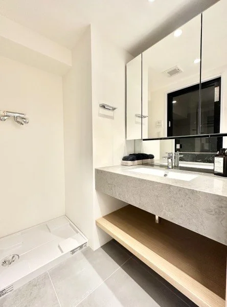 モダンな洗面台と鏡のバスルームの interior, 洗面所のシンクと収納スペース