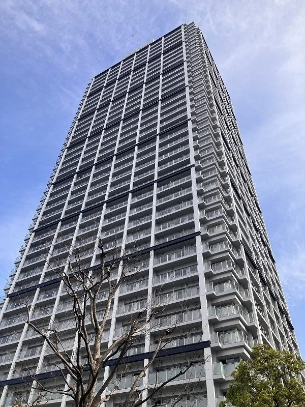 高層の白いマンションの建物と青空。前景に木の枝と葉が見える。