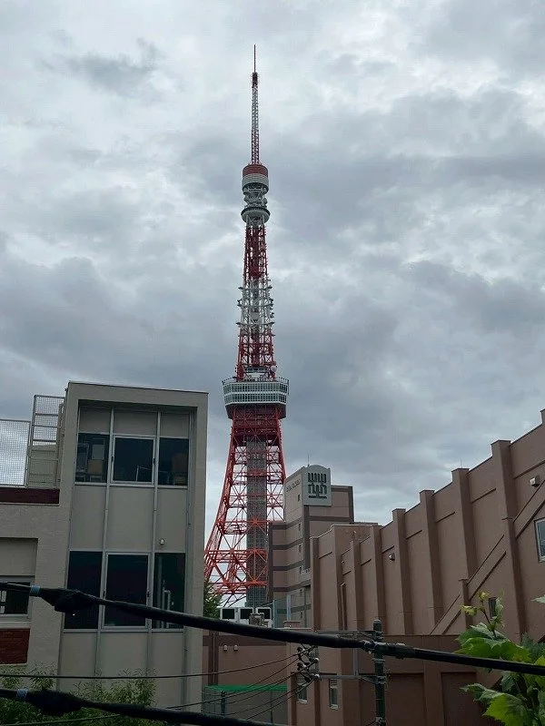 東京タワーの写真。曇り空の下に金属構造の塔が立っている。