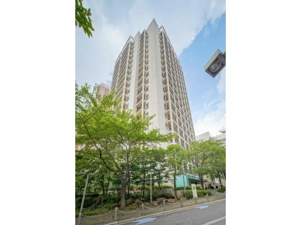 高層の白いビルと緑の木々、青空が見える都市の風景