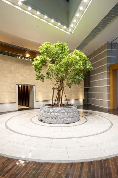 建物のロビーにある緑の木と丸い石の植え込みが中心に配置されている。