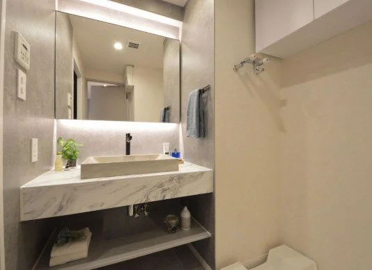 洗面台と鏡、トイレの壁にタオル掛け。洗面台の下に棚と植物。