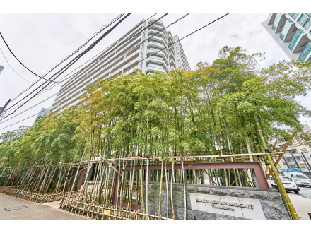 高層ビルと竹の生垣がある市街地の風景