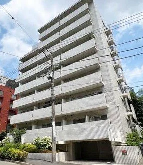 白い多層の高層マンションと電柱と電線
