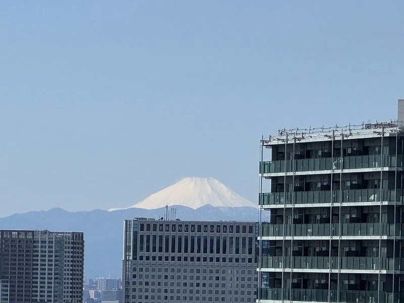 都市のビル群と遠くに雪をかぶった富士山の景色