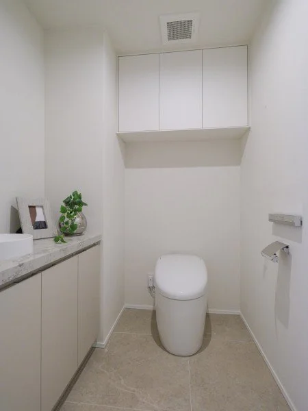 白いトイレと壁に取り付けられた棚、紙巻き器と棚、洗面台と鏡、緑色の観葉植物が置かれたトイレルームの内景