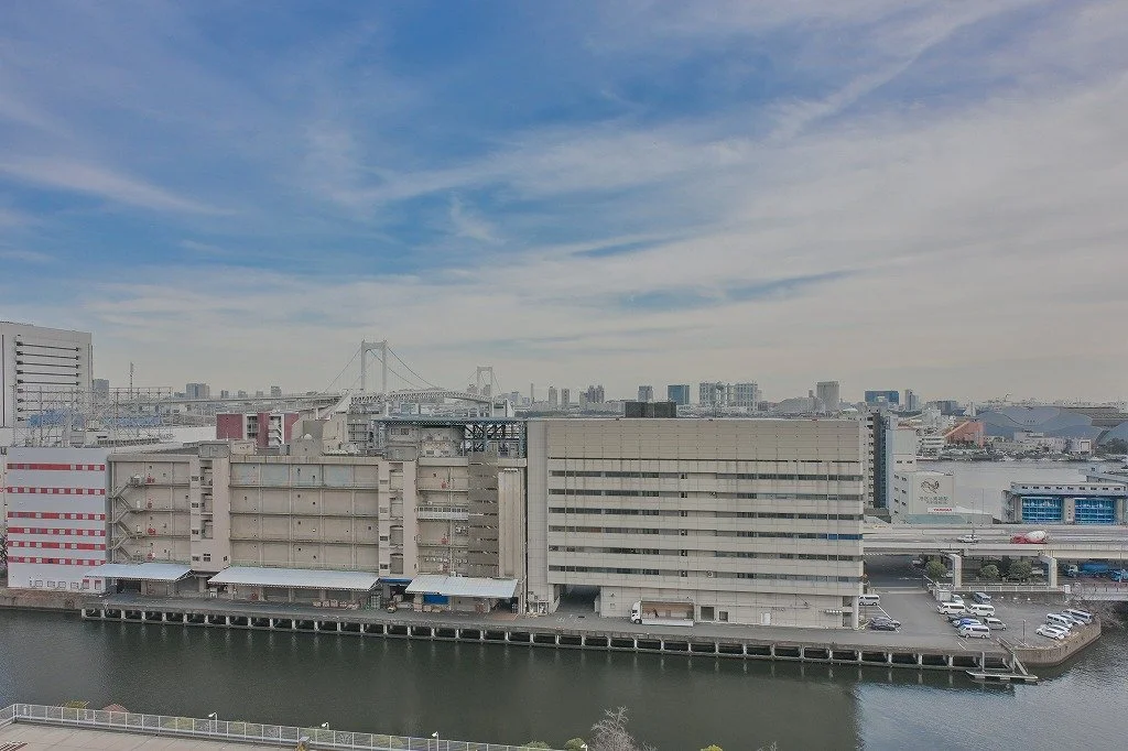 川のほとりの都市の景色、安定した建物と橋が見える