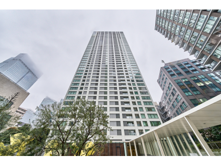 高層ビル群と木がある都市の風景