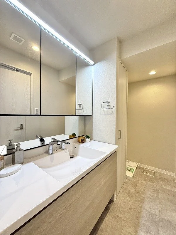 白い洗面台と鏡、シンク、ドライヤー、トイレットペーパー、棚の装飾と照明がある洗面所の interior.