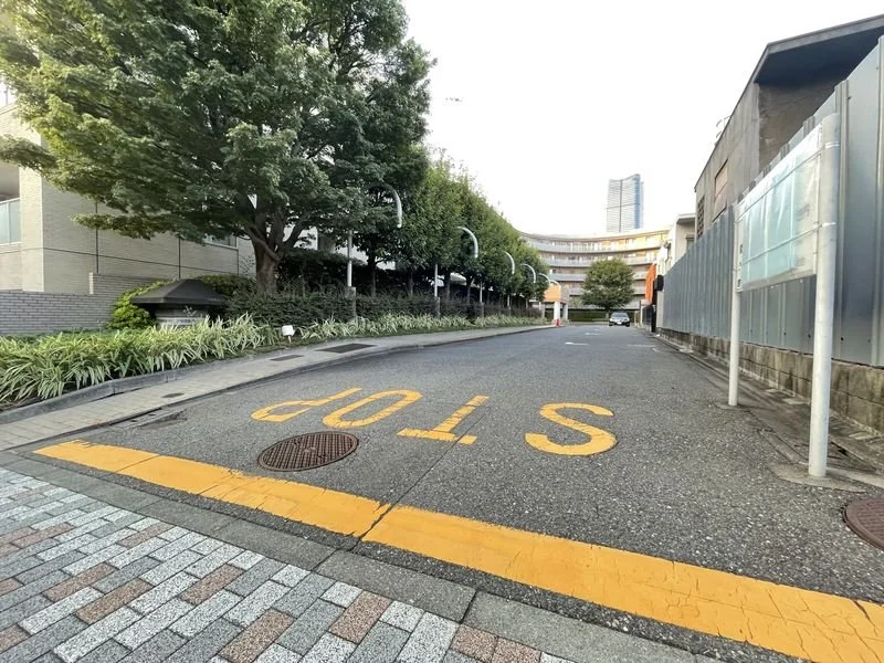 坂の道路に黄色い文字でSTOPと書かれています。周囲には葉の多い木や建物があります。