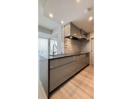 モダンなキッチンの interior withステンレス製のキャビネットとカウンタートップ、照明と窓からの自然光