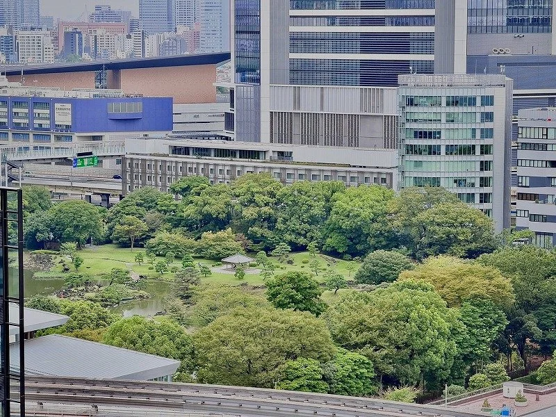 p10_9.jpg