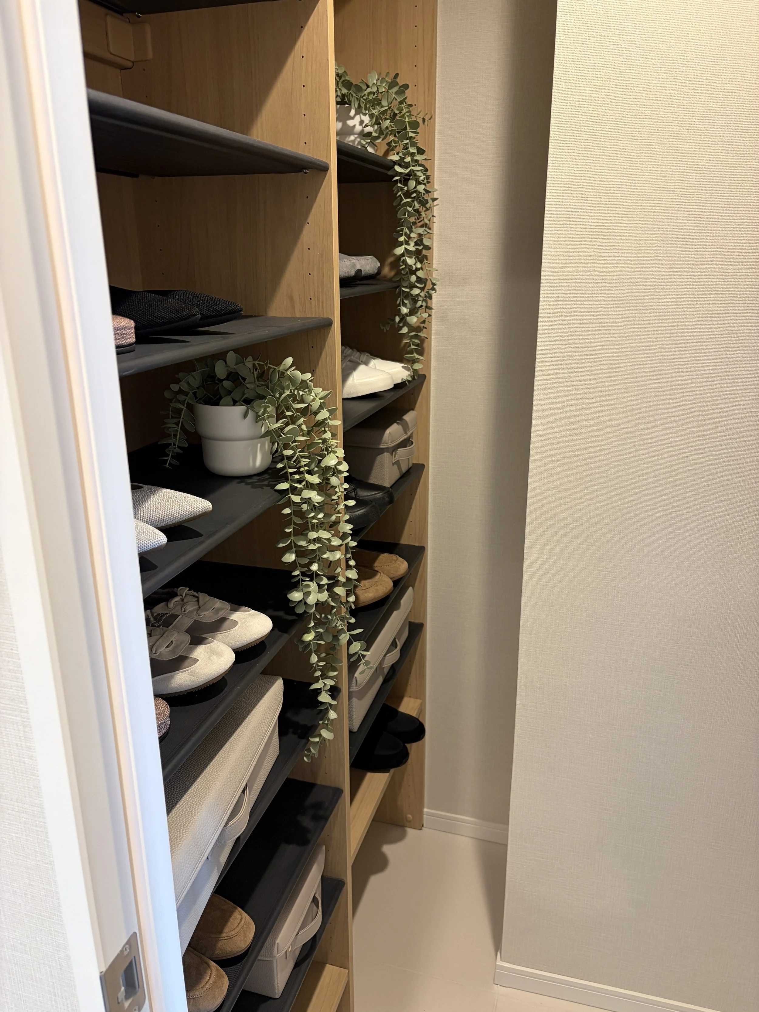 木製のシューズラックにスリッパや帽子などを収納している様子。棚には観葉植物も飾られている。