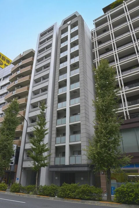 高層のマンションと街路樹が写っている都市のビル景色