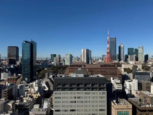 東京の都市景観、東京タワーが中央に見える