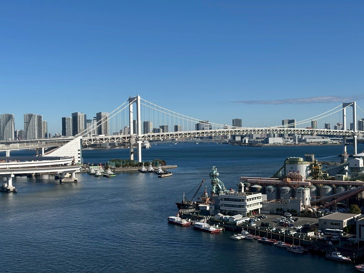 東京のレインボーブリッジと湾岸の高層ビル群