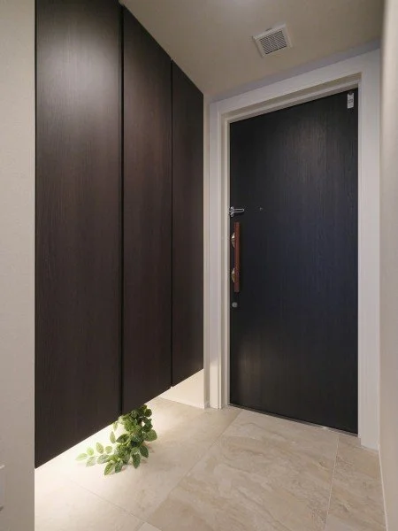 黒いドアと壁紙、白い壁と床、下に植物が置かれている玄関または廊下の場所