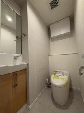 小さな洗面所とトイレがある室内の写真。洗面台の下に収納棚があり、壁に棚や換気扇も見える。
