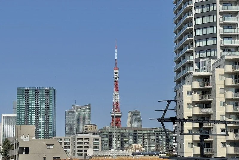 東京タワーと高層ビル群を背景にした都市の景色。