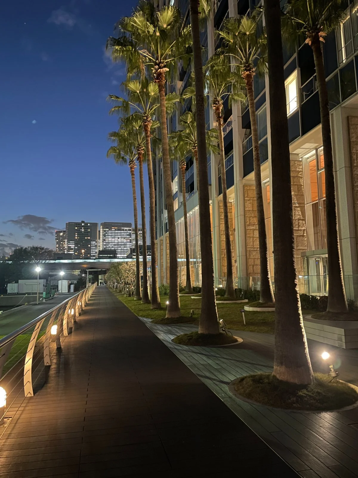 夜の街並みで、アサイ palm trees lining a walkway、建物のガラス窓に光が映る都市の背景.