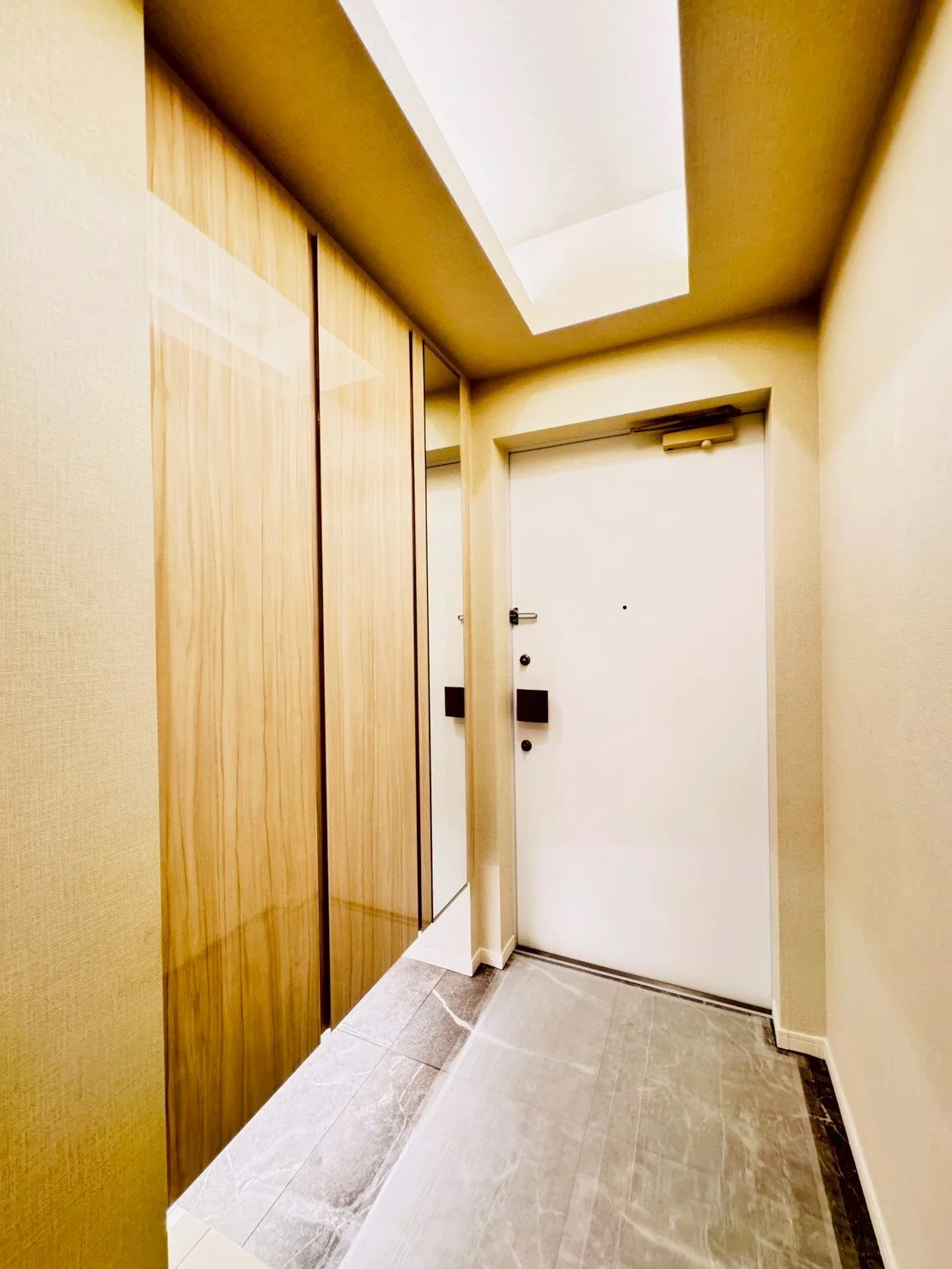 ホテルやマンションのエントランスの廊下にある白い玄関ドア。ドアにはドアノブとカードキーの穴が見える。左側には木製の大きな収納扉が設置されている。天井には長方形の採光窓がある。