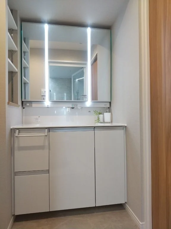白い洗面台に鏡とLEDライト、鏡の背面に収納棚と装飾用の植物が置かれているトイレの洗面所