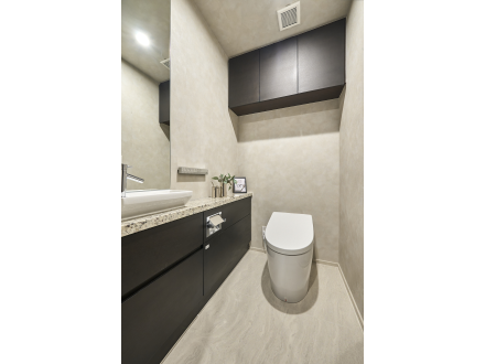 モダンなトイレルーム、黒いキャビネットと洗面台、便座