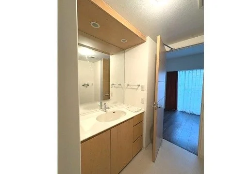 洗面台と扉のある部屋の内側のビュー