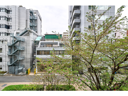 高層ビルと階段、木の枝や葉が写っている都市の風景