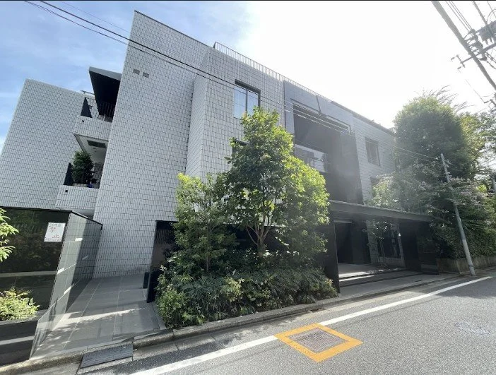 都市の道路沿いにあるモダンな白い建物と緑の木々