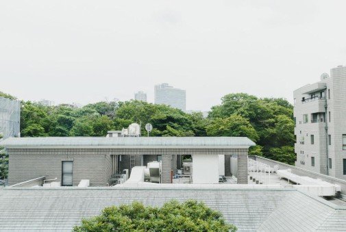 都市の屋上と緑の木々と建物