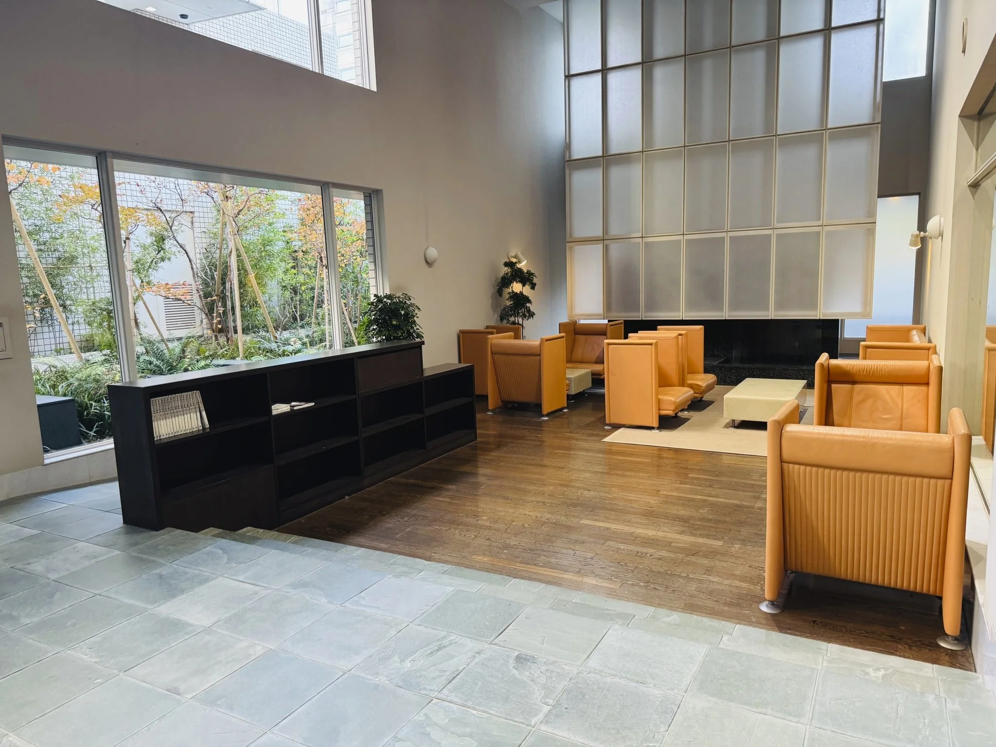 明るいロビーエリア、木製の椅子と植物、巨大な窓と壁の装飾