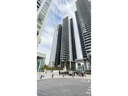 高層ビルが立ち並ぶ都市の風景