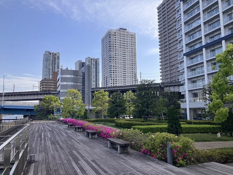 都市の公園、木と花が整備された歩道と高層ビル群