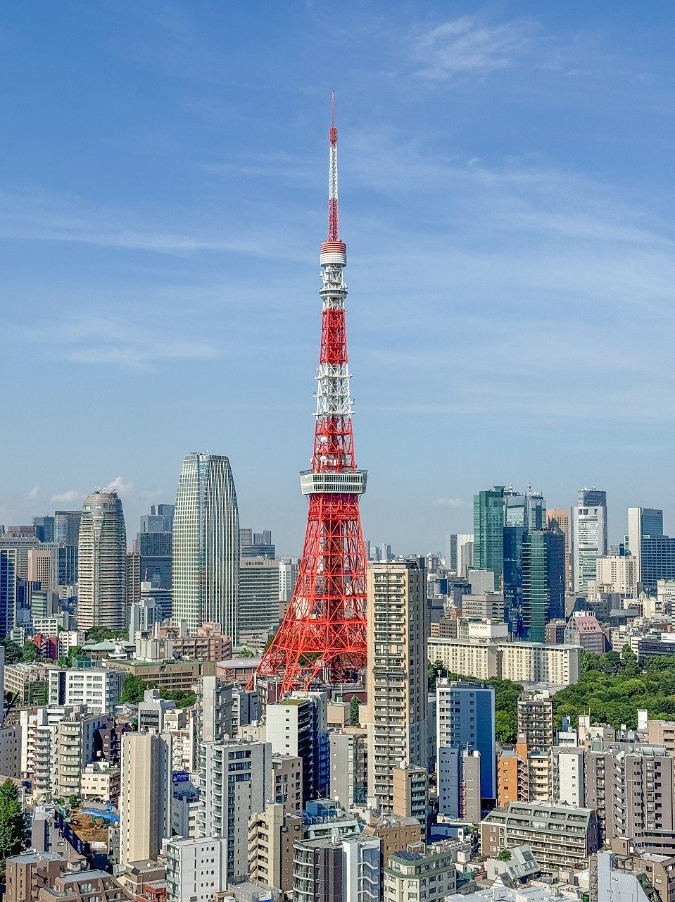 東京タワーと高層ビル群の景色