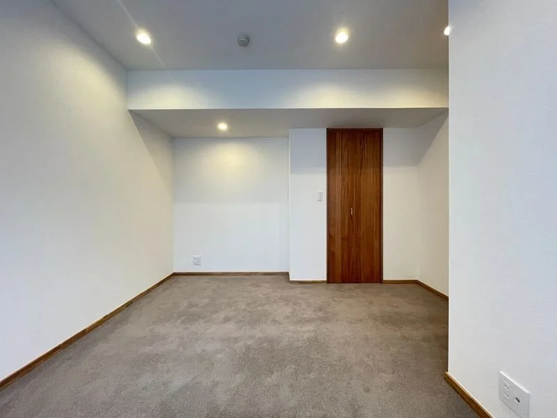 空の部屋、白い壁と天井、木製のドアと角のベースボード、カーペットの床、天井照明