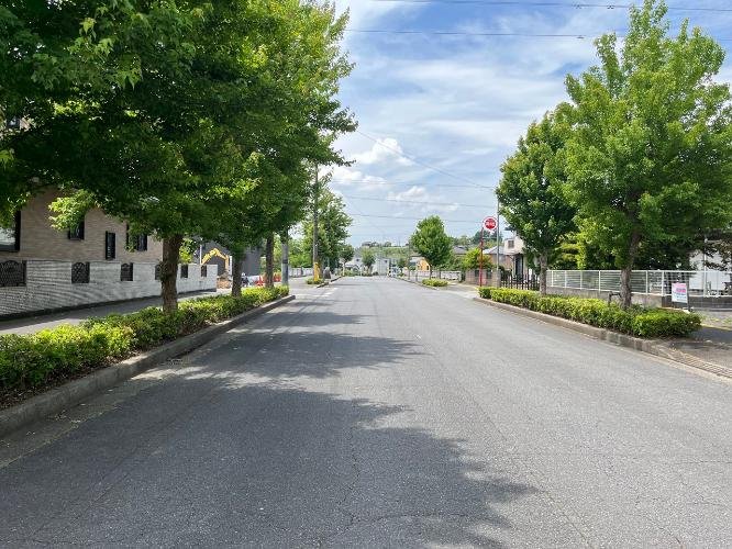晴れた空の下、木が並ぶ静かな街の道路。
