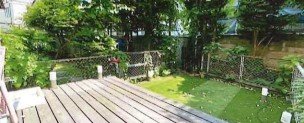 庭の木とフェンス、芝生のある屋外スペース